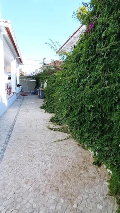 Apartment Private Small In Costa da Caparica